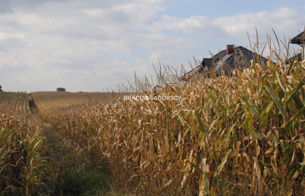 Działka budowlana w Proszowicach