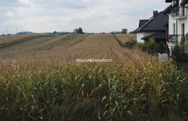 Działka budowlana w Proszowicach
