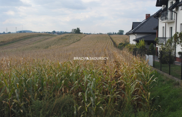 Działka budowlana w Proszowicach