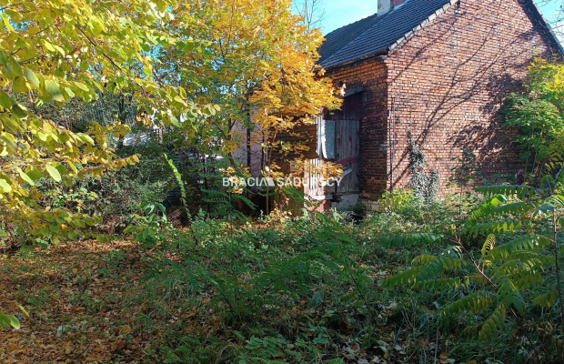 Atrakcyjna nieruchomość inwestycyjna w Krakowie