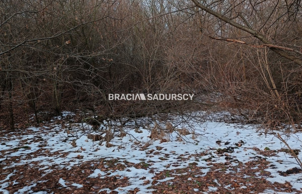 Duża działka inwestycyjna  w Czarnochowicach