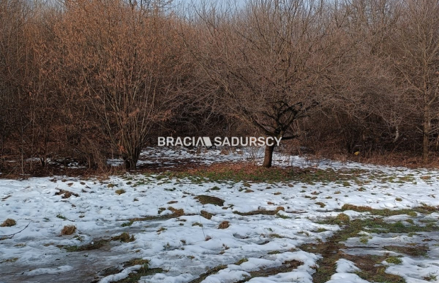 Duża działka inwestycyjna  w Czarnochowicach