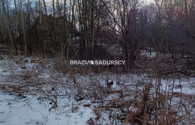 Duża działka inwestycyjna  w Czarnochowicach