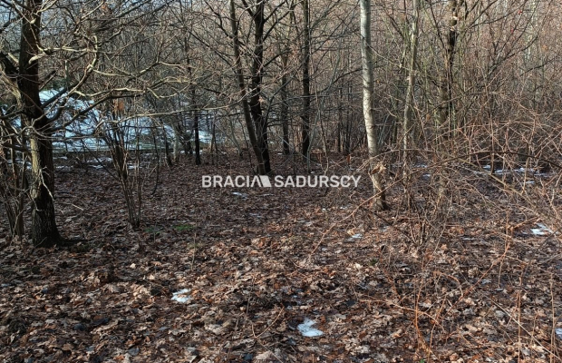 Duża działka inwestycyjna  w Czarnochowicach