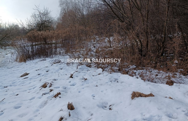 Duża działka inwestycyjna  w Czarnochowicach