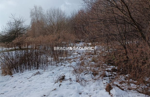 Duża działka inwestycyjna  w Czarnochowicach