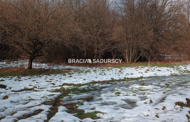 Duża działka inwestycyjna  w Czarnochowicach