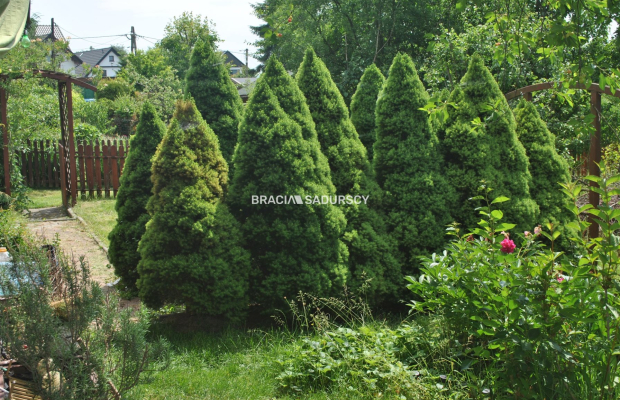 Działka ROD zabudowana budynkiem murowanym.