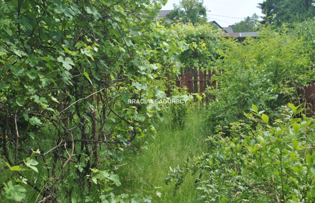 Działka ROD zabudowana budynkiem murowanym.