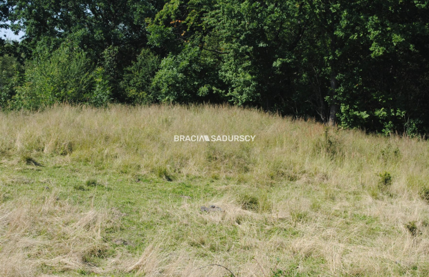 Nieruchomośc przy lesie w Chorowicach