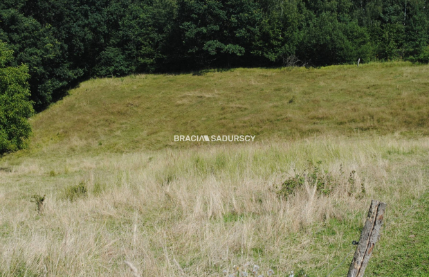 Nieruchomośc przy lesie w Chorowicach