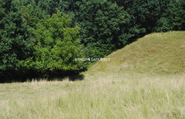 Nieruchomośc przy lesie w Chorowicach