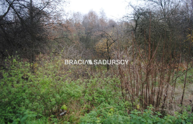 Do sprzedania nieruchomość o powierzchni ponad 1,7 ha  w miejscowości Libertów gm.Mogilany, Według aktualnego planu zagospodaro