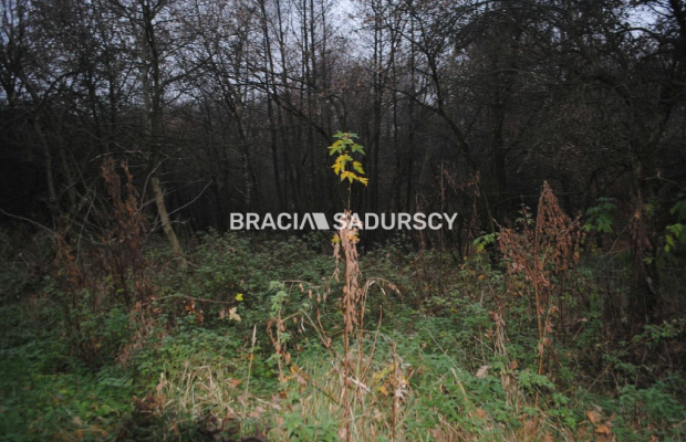 Do sprzedania nieruchomość o powierzchni ponad 1,7 ha  w miejscowości Libertów gm.Mogilany, Według aktualnego planu zagospodaro