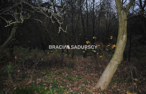 Do sprzedania nieruchomość o powierzchni ponad 1,7 ha  w miejscowości Libertów gm.Mogilany, Według aktualnego planu zagospodaro