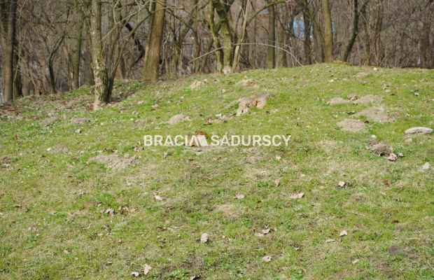 Do sprzedania działka budowlano- rolna ,częściowo zalesiona ,o pow ,48 arów ,/w tym 5 arów budowlane /w miejscowości Malkowice 