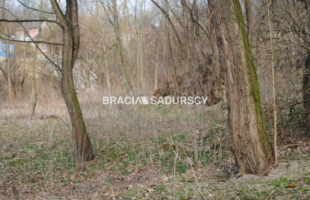 Do sprzedania działka budowlano- rolna ,częściowo zalesiona ,o pow ,48 arów ,/w tym 5 arów budowlane /w miejscowości Malkowice 