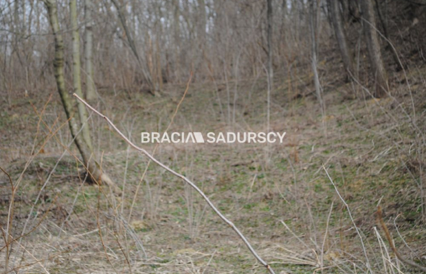 Do sprzedania działka budowlano- rolna ,częściowo zalesiona ,o pow ,48 arów ,/w tym 5 arów budowlane /w miejscowości Malkowice 
