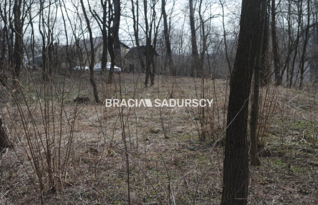 Do sprzedania działka budowlano- rolna ,częściowo zalesiona ,o pow ,48 arów ,/w tym 5 arów budowlane /w miejscowości Malkowice 