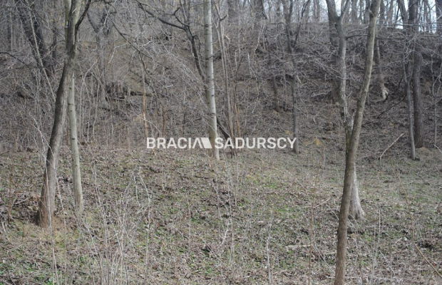 Do sprzedania działka budowlano- rolna ,częściowo zalesiona ,o pow ,48 arów ,/w tym 5 arów budowlane /w miejscowości Malkowice 
