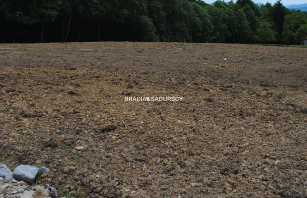 Działka budowlano-rolno-leśna w Jankówce