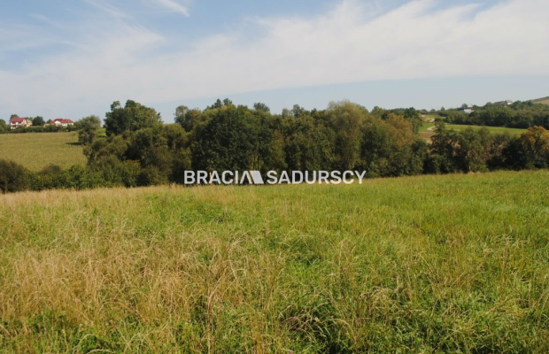 Okazja!!!Do sprzedania duża nieruchomość .