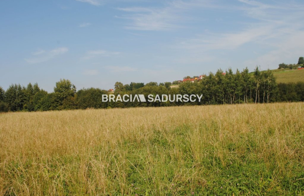 Okazja!!!Do sprzedania duża nieruchomość .