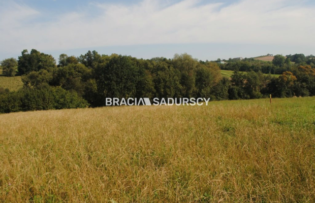 Okazja!!!Do sprzedania duża nieruchomość .