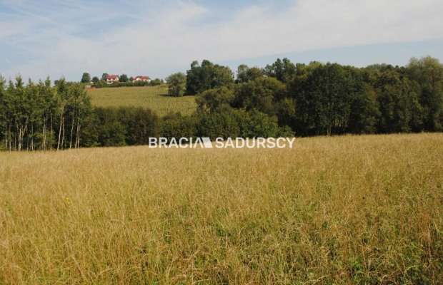 Okazja!!!Do sprzedania duża nieruchomość .