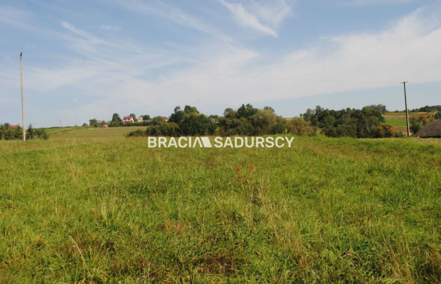 Okazja!!!Do sprzedania duża nieruchomość .