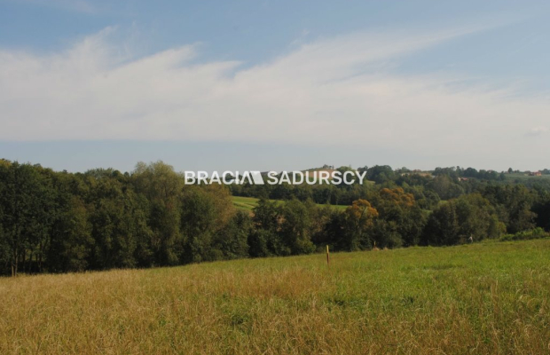 Okazja!!!Do sprzedania duża nieruchomość .