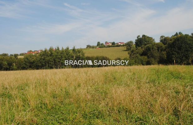 Okazja!!!Do sprzedania duża nieruchomość .