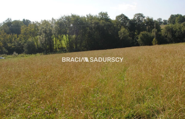 Okazja!!!Do sprzedania duża nieruchomość .