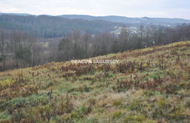 Duża,widokowa ,budowlano rolna w Głogoczowie