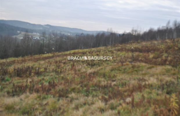 Duża,widokowa ,budowlano rolna w Głogoczowie