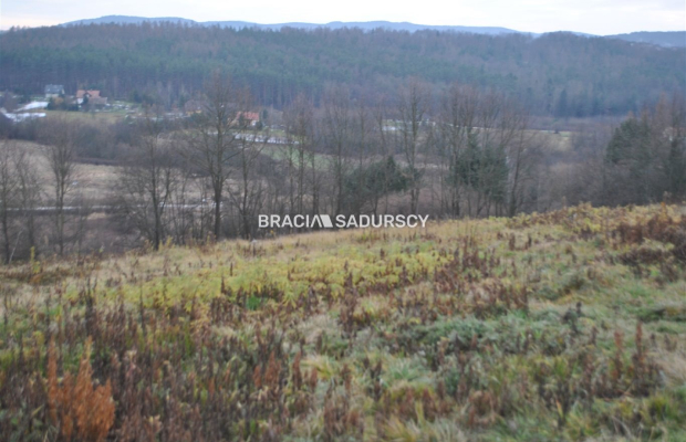 Duża,widokowa ,budowlano rolna w Głogoczowie