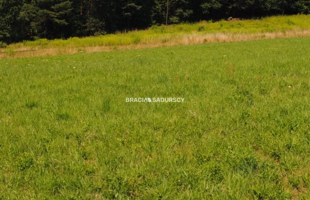 Duża działka budowlana w Kryspinowie.