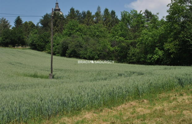 Duża działka inwestycyjna w Brzeziu gm.Kłaj