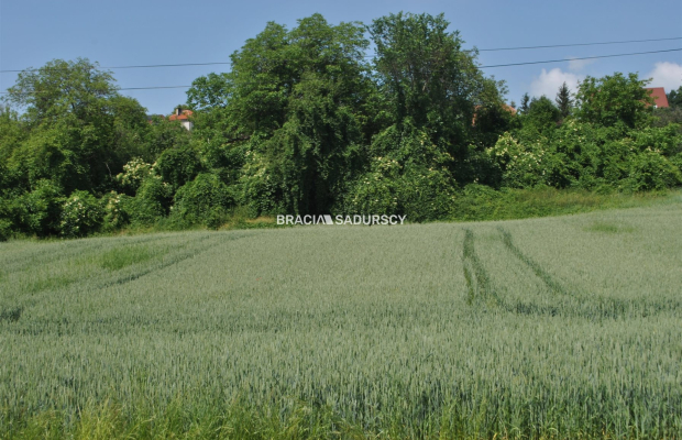Duża działka inwestycyjna w Brzeziu gm.Kłaj