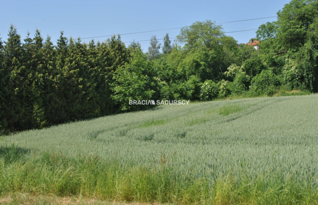 Duża działka inwestycyjna w Brzeziu gm.Kłaj