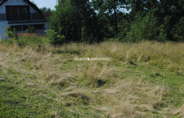 Duża nieruchomośc przy lesie w Chorowicach