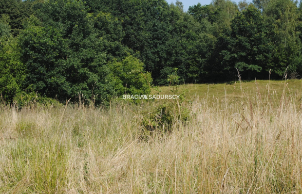 Duża nieruchomośc przy lesie w Chorowicach