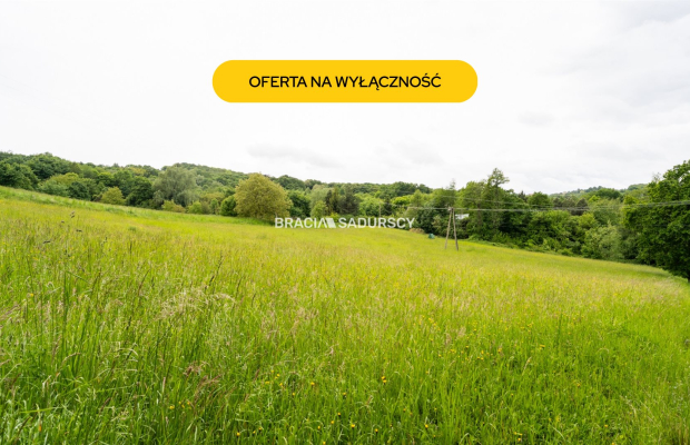  Działka budowlano-rolna w Łazanach gm.Biskupice