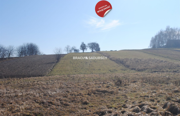 Duża działka budowlano-rolna w Bodzanowie