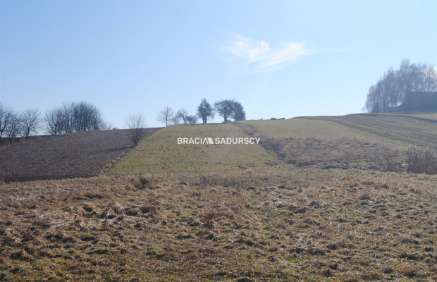 Duża działka budowlano-rolna w Bodzanowie