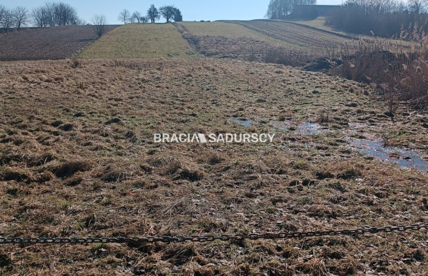 Duża działka budowlano-rolna w Bodzanowie