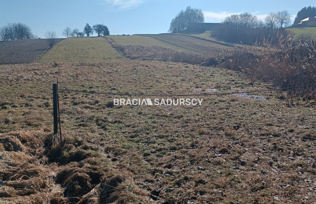 Duża działka budowlano-rolna w Bodzanowie