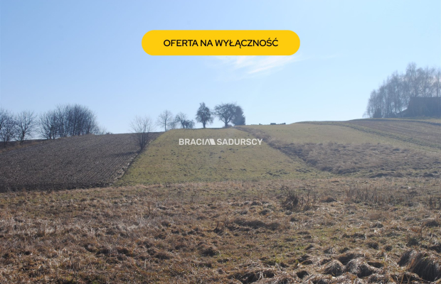 Duża działka budowlano-rolna w Bodzanowie