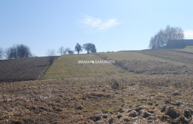 Duża działka budowlano-rolna w Bodzanowie