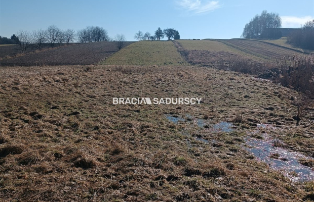 Duża działka budowlano-rolna w Bodzanowie